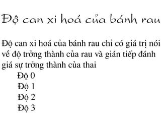 §é can xi ho¸ cña b¸nh rau
§é can xi ho¸ cña b¸nh rau chØ cã gi¸ trÞ nãi
vÒ ®é trëng thµnh cña rau vµ gi¸n tiÕp ®¸nh
gi¸ sù trëng thµnh cña thai
§é 0
§é 1
§é 2
§é 3
 