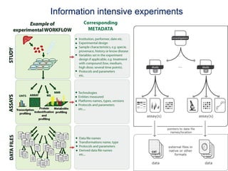 Information intensive experiments
 