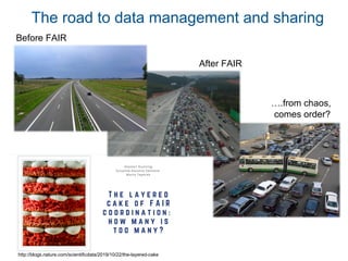The road to data management and sharing
Before FAIR
After FAIR
….from chaos,
comes order?
http://blogs.nature.com/scientificdata/2019/10/22/the-layered-cake
 