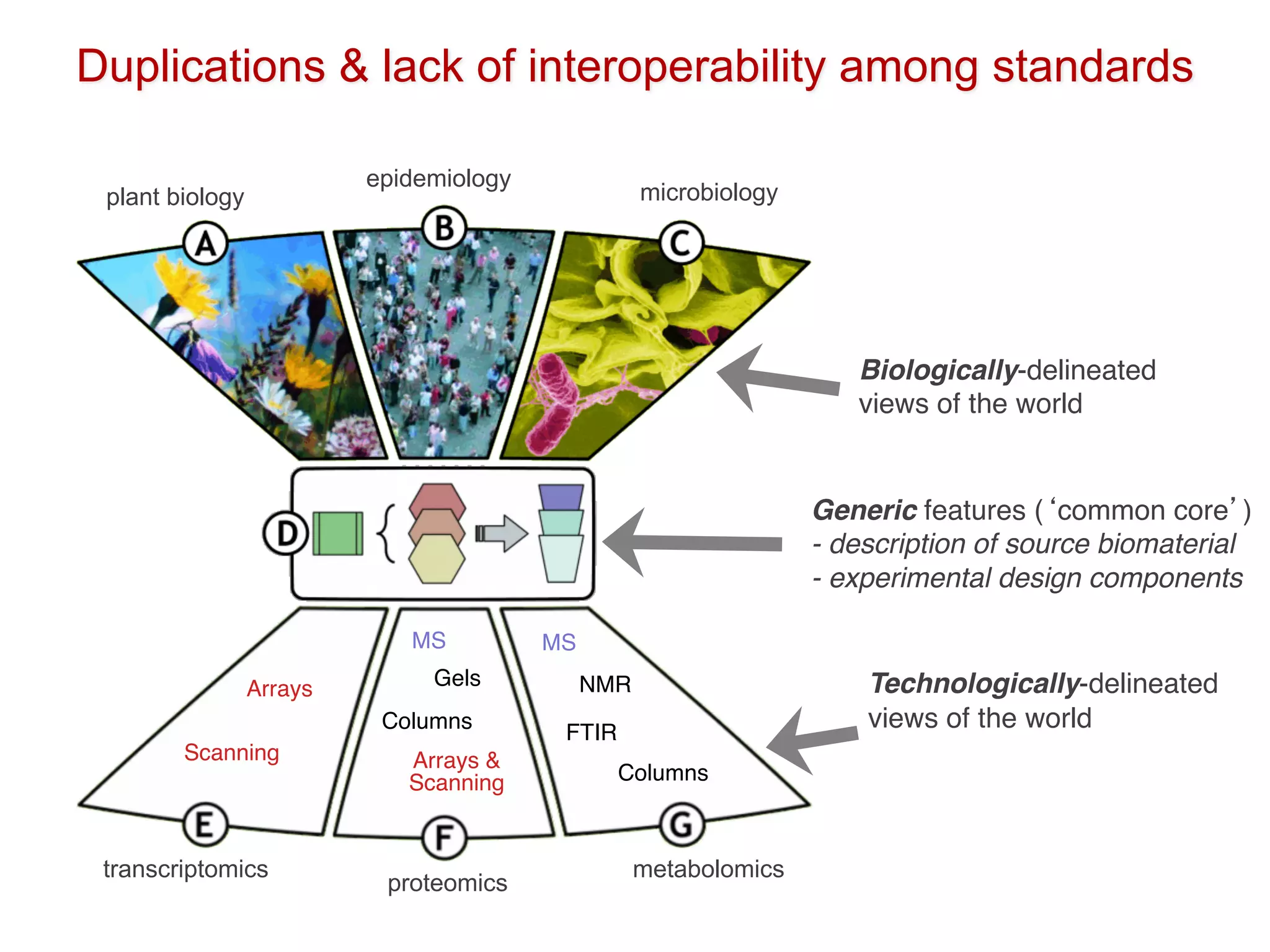 Technologically-delineated
views of the world
Biologically-delineated
views of the world
Generic features (‘common core’)
- description of source biomaterial
- experimental design components
Arrays
Scanning Arrays &
Scanning
Columns
Gels
MS MS
FTIR
NMR
Columns
transcriptomics
proteomics
metabolomics
plant biology
epidemiology
microbiology
Duplications & lack of interoperability among standards
 