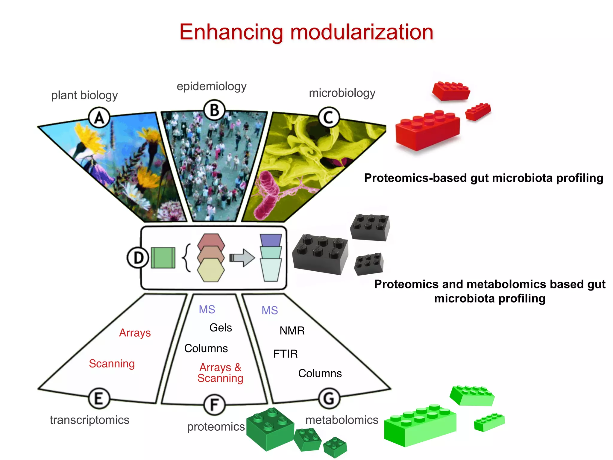 Arrays
Scanning Arrays &
Scanning
Columns
Gels
MS MS
FTIR
NMR
Columns
transcriptomics
proteomics
metabolomics
plant biology
epidemiology
microbiology
Enhancing modularization
Proteomics-based gut microbiota profiling
Proteomics and metabolomics based gut
microbiota profiling
 