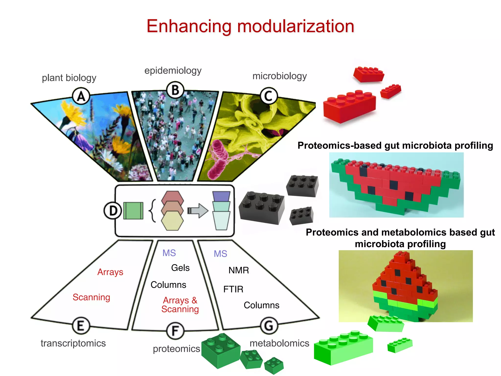 Arrays
Scanning Arrays &
Scanning
Columns
Gels
MS MS
FTIR
NMR
Columns
transcriptomics
proteomics
metabolomics
plant biology
epidemiology
microbiology
Enhancing modularization
Proteomics-based gut microbiota profiling
Proteomics and metabolomics based gut
microbiota profiling
 