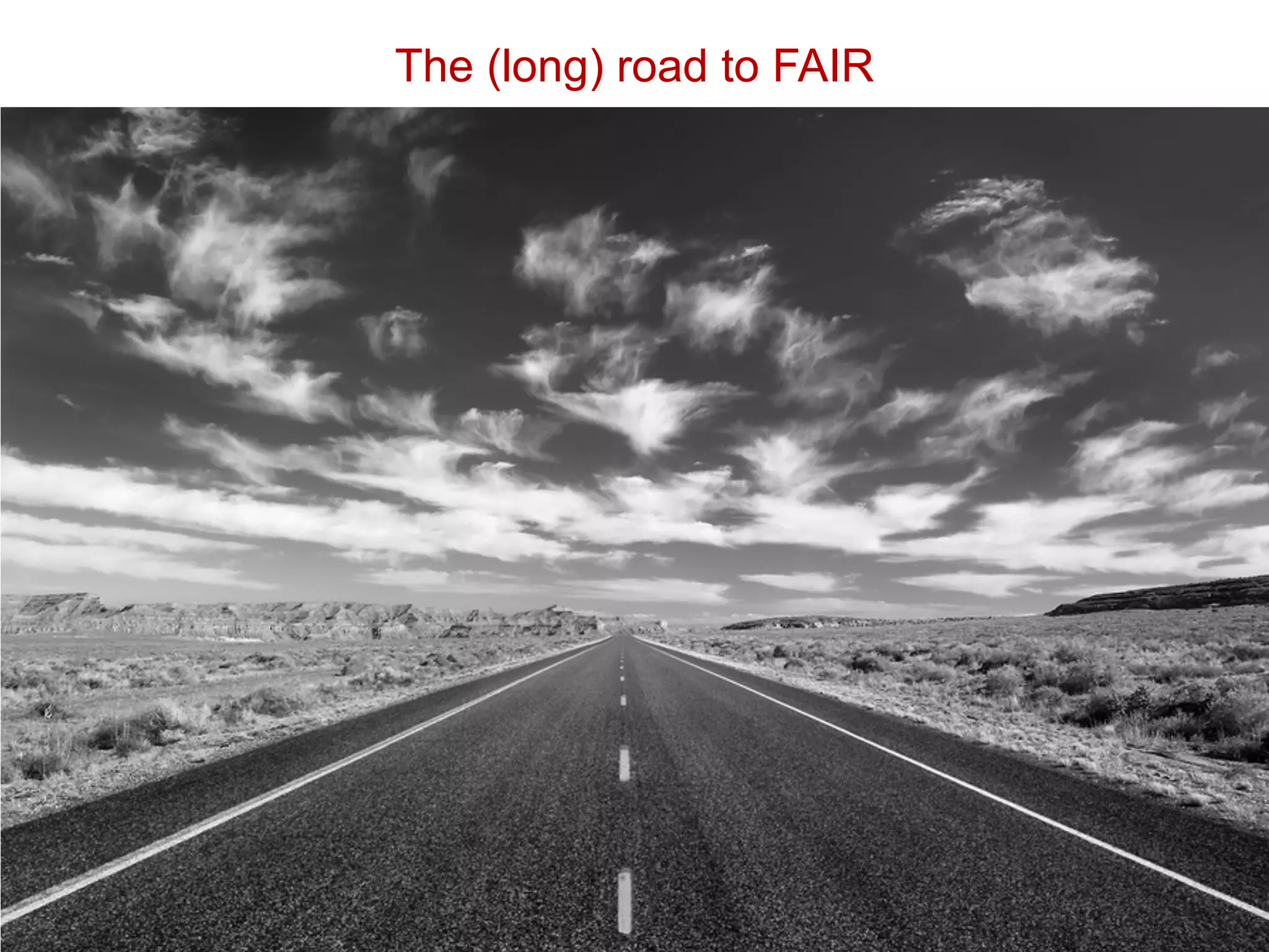 The (long) road to FAIR
 