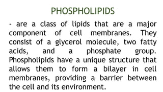 - are a class of lipids that are a major
component of cell membranes. They
consist of a glycerol molecule, two fatty
acids, and a phosphate group.
Phospholipids have a unique structure that
allows them to form a bilayer in cell
membranes, providing a barrier between
the cell and its environment.
PHOSPHOLIPIDS
 