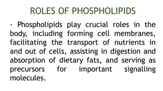 - Phospholipids play crucial roles in the
body, including forming cell membranes,
facilitating the transport of nutrients in
and out of cells, assisting in digestion and
absorption of dietary fats, and serving as
precursors for important signalling
molecules.
ROLES OF PHOSPHOLIPIDS
 