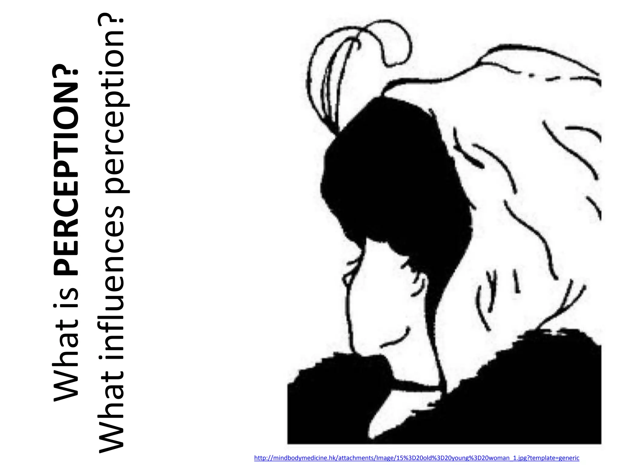 What is PERCEPTION?
What influences perception?

http://mindbodymedicine.hk/attachments/Image/15%3D20old%3D20young%3D20woman_1.jpg?template=generic

 