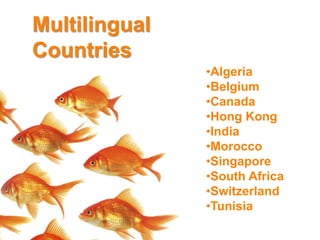 Multilingual CountriesAlgeria