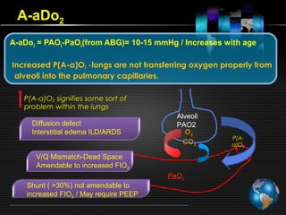 Pao2 Explained Arterial Blood Gas Analysis | PPT