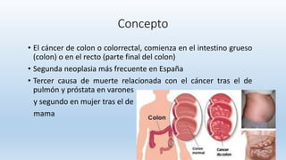 Concepto
• El cáncer de colon o colorrectal, comienza en el intestino grueso
(colon) o en el recto (parte final del colon)
• Segunda neoplasia más frecuente en España
• Tercer causa de muerte relacionada con el cáncer tras el de
pulmón y próstata en varones
y segundo en mujer tras el de
mama
 