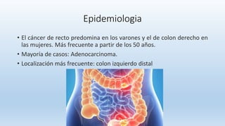 Epidemiologia
• El cáncer de recto predomina en los varones y el de colon derecho en
las mujeres. Más frecuente a partir de los 50 años.
• Mayoría de casos: Adenocarcinoma.
• Localización más frecuente: colon izquierdo distal
 