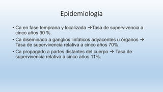 Epidemiologia
• Ca en fase temprana y localizada Tasa de supervivencia a
cinco años 90 %.
• Ca diseminado a ganglios linfáticos adyacentes u órganos 
Tasa de supervivencia relativa a cinco años 70%.
• Ca propagado a partes distantes del cuerpo  Tasa de
supervivencia relativa a cinco años 11%.
 