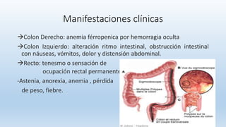 Manifestaciones clínicas
Colon Derecho: anemia férropenica por hemorragia oculta
Colon Izquierdo: alteración ritmo intestinal, obstrucción intestinal
con náuseas, vómitos, dolor y distensión abdominal.
Recto: tenesmo o sensación de
ocupación rectal permanente
-Astenia, anorexia, anemia , pérdida
de peso, fiebre.
 