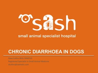 CHRONIC DIARRHOEA IN DOGS
Dave Collins BVSc FANZCVS
Registered Specialist in Small Animal Medicine
dcollins@sashvets.com
 