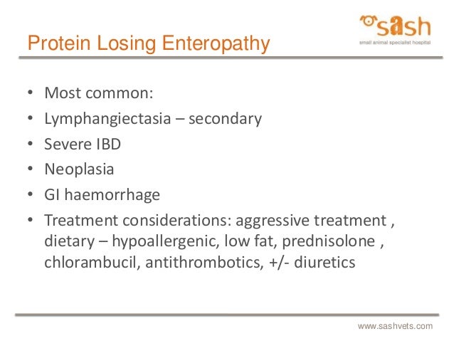 Leukeran For Cats With Ibd