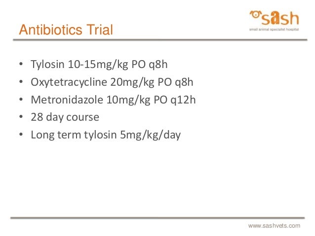 Azathioprine For Dogs With Ibd