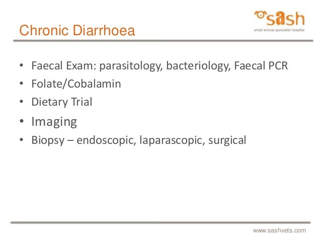 Chronic Diarrhea Treatment For Dogs Uk Chronic Diarrhea Treatment For Dogs Uk