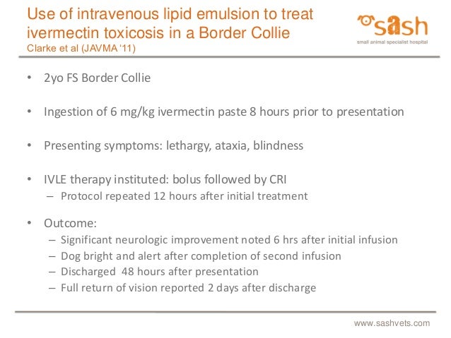 border collies ivermectin border collies ivermectin