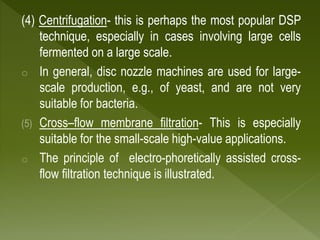 Down Stream Processing | PPTX