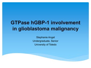 GTPase hGBP-1 involvement
in glioblastoma malignancy
Stephanie Angel
Undergraduate, Senior
University of Toledo

 