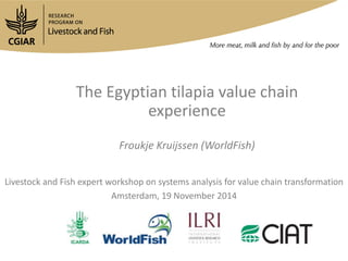 The Egyptian tilapia value chain 
experience 
Froukje Kruijssen (WorldFish) 
Livestock and Fish expert workshop on systems analysis for value chain transformation 
Amsterdam, 19 November 2014 
 