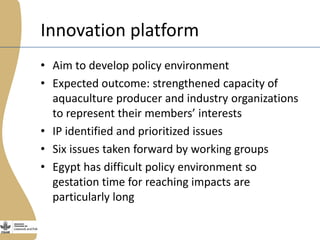 The Egyptian tilapia value chain experience