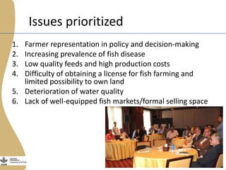 The Egyptian tilapia value chain experience