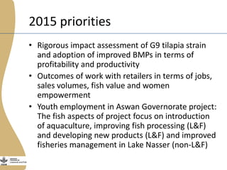 The Egyptian tilapia value chain experience