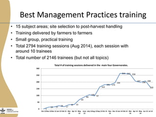The Egyptian tilapia value chain experience