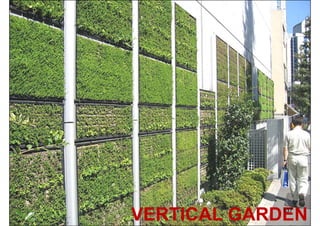 Ekawat Ophartpongsakorn
BArch, MSc in Built Environment
January 2009
TESCO LOTUS AMATA
VERTICAL GARDEN137
 