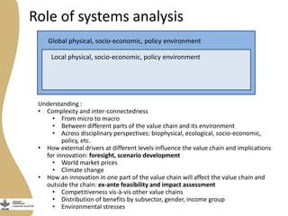 The vision for systems analysis research within the Livestock and Fish research program