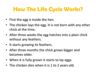 How The Life Cycle Works?
• First the egg is inside the hen.
• The chicken lays the egg. It is not born with any other
  c...