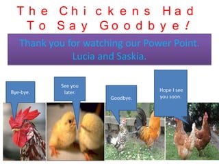 T h e Ch i c k e n s Ha d
    T o S a y Go o d b y e !
   Thank you for watching our Power Point.
              Lucia and ...