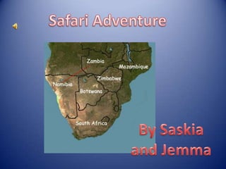 Safari Adventure By Saskia and Jemma 