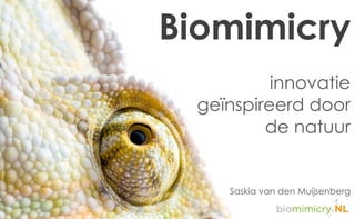 Biomimicry
innovatie
geïnspireerd door
de natuur
Saskia van den Muijsenberg
 