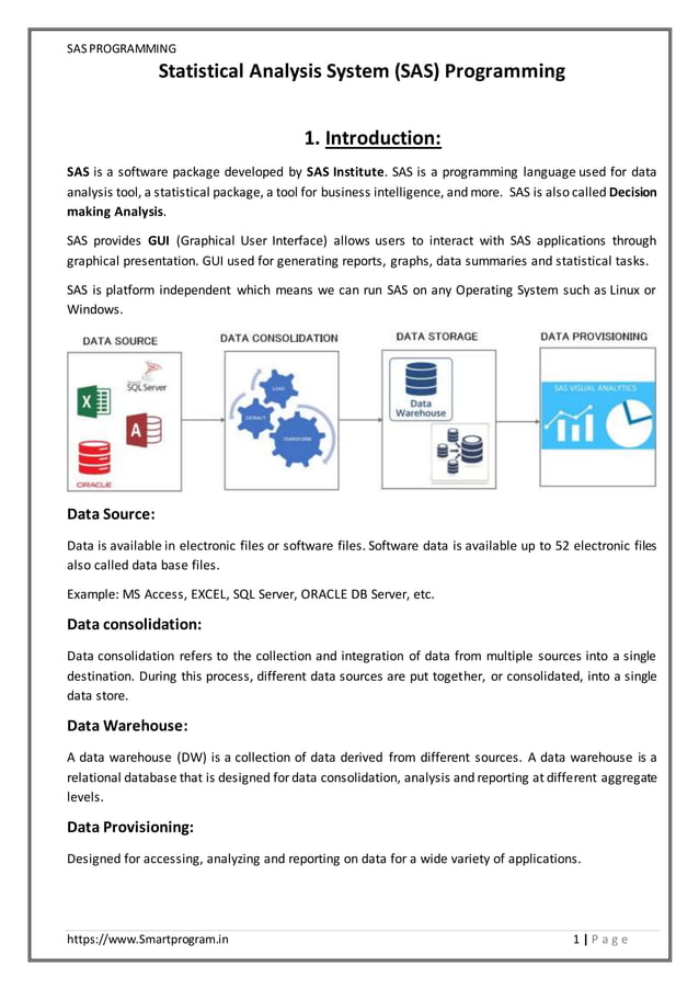 SAS Programming Notes | PDF