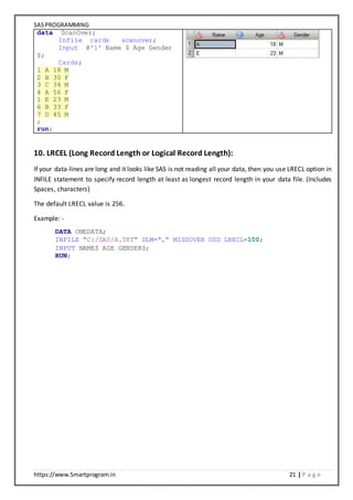 SAS Programming Notes | DOCX
