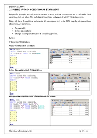 SAS Programming Notes | DOCX