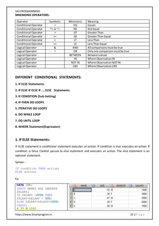 SAS Programming Notes | DOCX