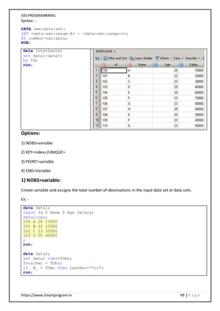 SAS Programming Notes | DOCX