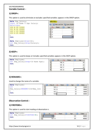 SAS Programming Notes | DOCX