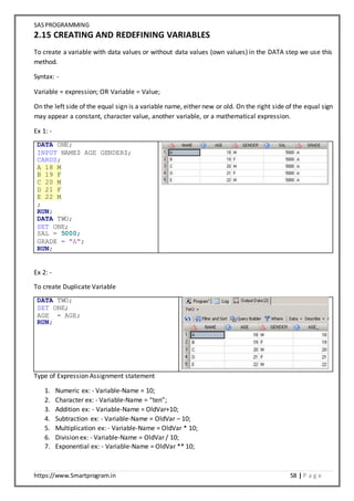 SAS Programming Notes | DOCX