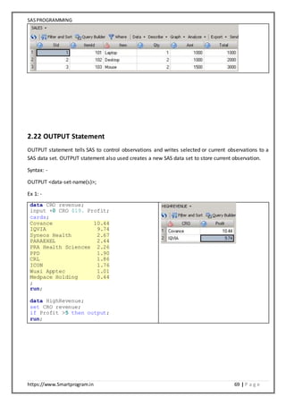 SAS Programming Notes | DOCX