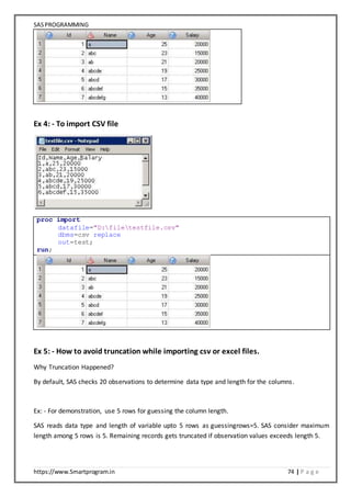 SAS Programming Notes | DOCX