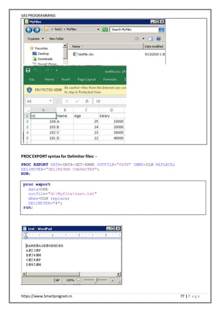 SAS Programming Notes | DOCX