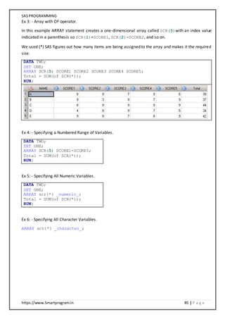 SAS Programming Notes | DOCX