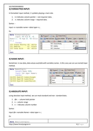SAS Programming Notes | DOCX