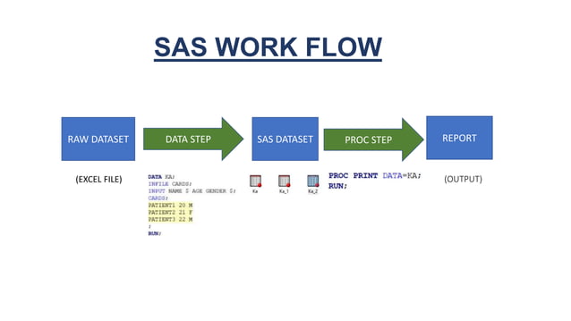 SAS DATA STEP PROCESS | PPTX | Programming Languages | Computing