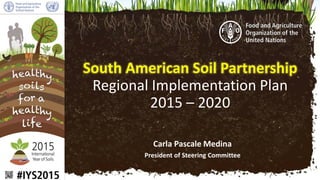 Carla Pascale Medina
President of Steering Committee
South American Soil Partnership
Regional Implementation Plan
2015 – 2020
 