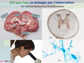BIO pour tous, la biologie par l’observation
du macroscopique au microscopique
 