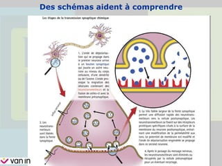Des schémas aident à comprendre
 